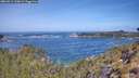 ./images/calvert/foggy-cove/20260511/foggy-cove20260511_110001M.jpg