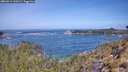 ./images/calvert/foggy-cove/20260511/foggy-cove20260511_110501M.jpg