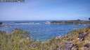 ./images/calvert/foggy-cove/20260511/foggy-cove20260511_111001M.jpg