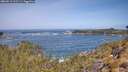 ./images/calvert/foggy-cove/20260511/foggy-cove20260511_111501M.jpg