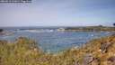 ./images/calvert/foggy-cove/20260511/foggy-cove20260511_112001M.jpg