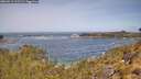 ./images/calvert/foggy-cove/20260511/foggy-cove20260511_112501M.jpg