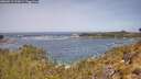 ./images/calvert/foggy-cove/20260511/foggy-cove20260511_113001M.jpg