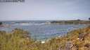 ./images/calvert/foggy-cove/20260511/foggy-cove20260511_113501M.jpg