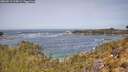 ./images/calvert/foggy-cove/20260511/foggy-cove20260511_114501M.jpg