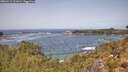 ./images/calvert/foggy-cove/20260511/foggy-cove20260511_121001M.jpg