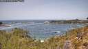 ./images/calvert/foggy-cove/20260511/foggy-cove20260511_122001M.jpg