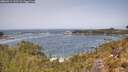 ./images/calvert/foggy-cove/20260511/foggy-cove20260511_122501M.jpg