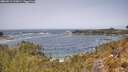 ./images/calvert/foggy-cove/20260511/foggy-cove20260511_123001M.jpg