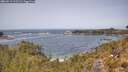 ./images/calvert/foggy-cove/20260511/foggy-cove20260511_123501M.jpg