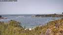 ./images/calvert/foggy-cove/20260511/foggy-cove20260511_125001M.jpg