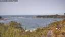./images/calvert/foggy-cove/20260511/foggy-cove20260511_125501M.jpg