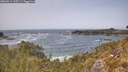 ./images/calvert/foggy-cove/20260511/foggy-cove20260511_135501M.jpg