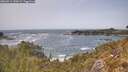 ./images/calvert/foggy-cove/20260511/foggy-cove20260511_140001M.jpg