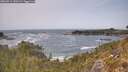 ./images/calvert/foggy-cove/20260511/foggy-cove20260511_140501M.jpg