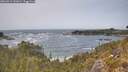 ./images/calvert/foggy-cove/20260511/foggy-cove20260511_141001M.jpg