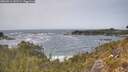 ./images/calvert/foggy-cove/20260511/foggy-cove20260511_141501M.jpg