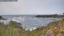 ./images/calvert/foggy-cove/20260511/foggy-cove20260511_142001M.jpg