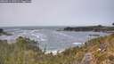 ./images/calvert/foggy-cove/20260511/foggy-cove20260511_143501M.jpg