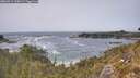 ./images/calvert/foggy-cove/20260511/foggy-cove20260511_144501M.jpg