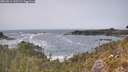 ./images/calvert/foggy-cove/20260511/foggy-cove20260511_145501M.jpg