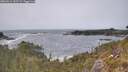 ./images/calvert/foggy-cove/20260511/foggy-cove20260511_152501M.jpg