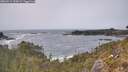 ./images/calvert/foggy-cove/20260511/foggy-cove20260511_153002M.jpg