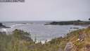 ./images/calvert/foggy-cove/20260511/foggy-cove20260511_154001M.jpg