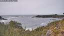 ./images/calvert/foggy-cove/20260511/foggy-cove20260511_154501M.jpg