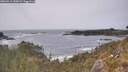 ./images/calvert/foggy-cove/20260511/foggy-cove20260511_155002M.jpg