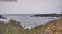 ./images/calvert/foggy-cove/20260511/foggy-cove20260511_161001M.jpg