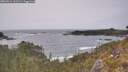 ./images/calvert/foggy-cove/20260511/foggy-cove20260511_161501M.jpg