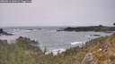 ./images/calvert/foggy-cove/20260511/foggy-cove20260511_162001M.jpg