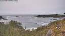 ./images/calvert/foggy-cove/20260511/foggy-cove20260511_162501M.jpg