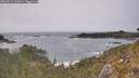 ./images/calvert/foggy-cove/20260511/foggy-cove20260511_163001M.jpg