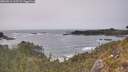 ./images/calvert/foggy-cove/20260511/foggy-cove20260511_163502M.jpg