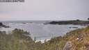 ./images/calvert/foggy-cove/20260511/foggy-cove20260511_164001M.jpg