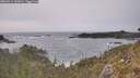 ./images/calvert/foggy-cove/20260511/foggy-cove20260511_165001M.jpg