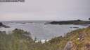 ./images/calvert/foggy-cove/20260511/foggy-cove20260511_165501M.jpg