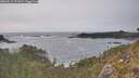 ./images/calvert/foggy-cove/20260511/foggy-cove20260511_171001M.jpg