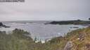 ./images/calvert/foggy-cove/20260511/foggy-cove20260511_172001M.jpg