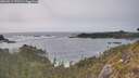 ./images/calvert/foggy-cove/20260511/foggy-cove20260511_172501M.jpg