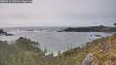 ./images/calvert/foggy-cove/20260511/foggy-cove20260511_173002M.jpg
