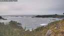 ./images/calvert/foggy-cove/20260511/foggy-cove20260511_174001M.jpg