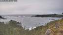 ./images/calvert/foggy-cove/20260511/foggy-cove20260511_174501M.jpg