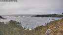 ./images/calvert/foggy-cove/20260511/foggy-cove20260511_175001M.jpg