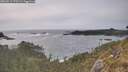 ./images/calvert/foggy-cove/20260511/foggy-cove20260511_175501M.jpg