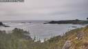 ./images/calvert/foggy-cove/20260511/foggy-cove20260511_181001M.jpg