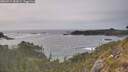 ./images/calvert/foggy-cove/20260511/foggy-cove20260511_182001M.jpg