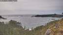 ./images/calvert/foggy-cove/20260511/foggy-cove20260511_182501M.jpg